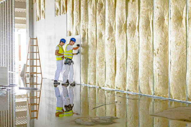 Best Types of Insulation in Pumpkin Center, NC